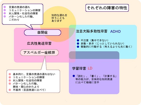 障害 広汎 性 特徴 発達