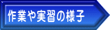 作業や実習の様子