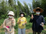 収穫の写真5